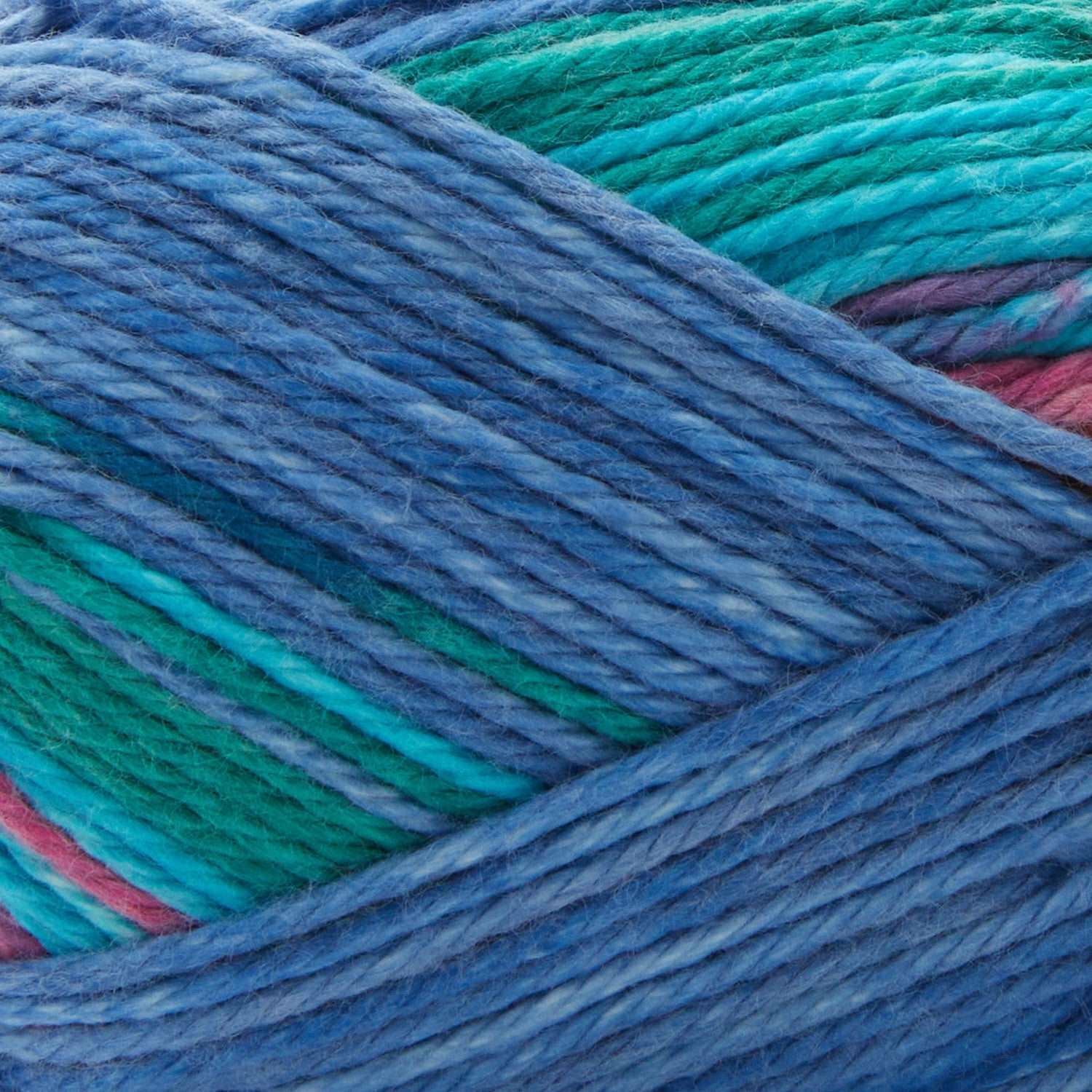 Premier cotton sprout worsted multi yarn - 14