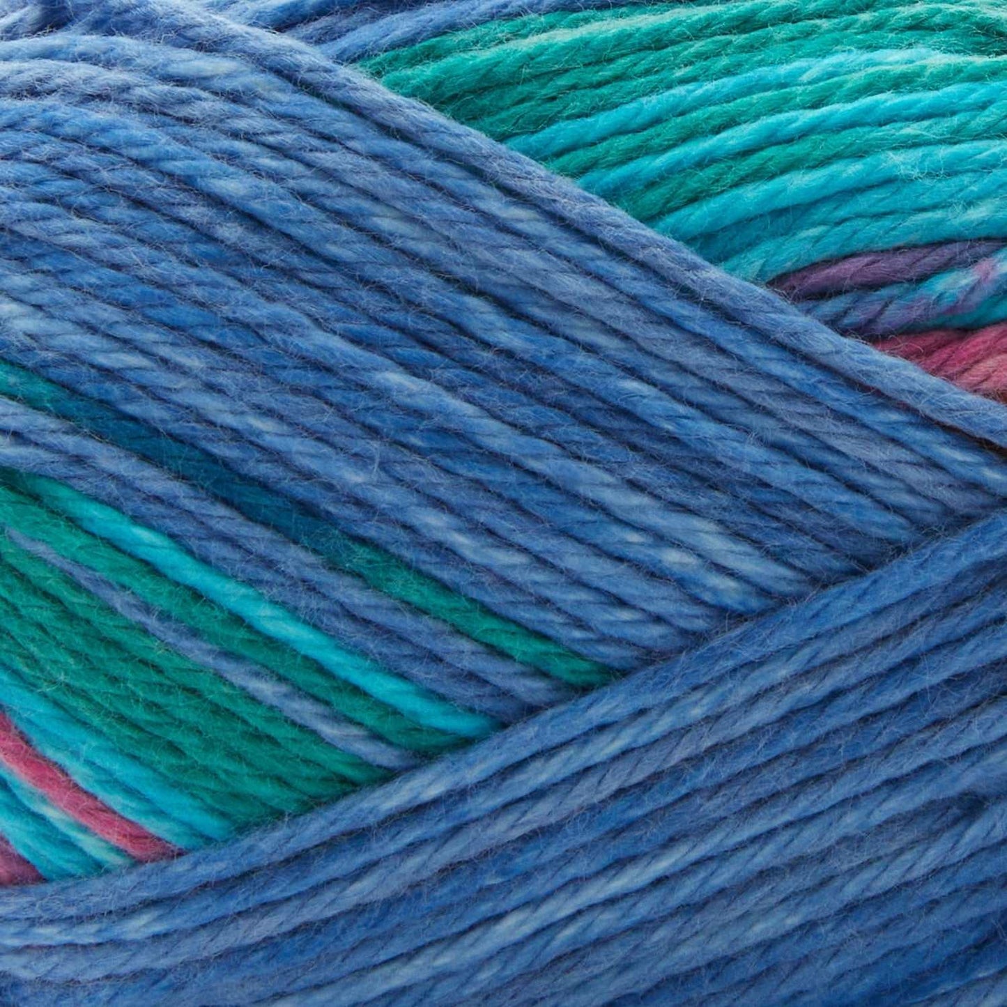 Premier cotton sprout worsted multi yarn - 4