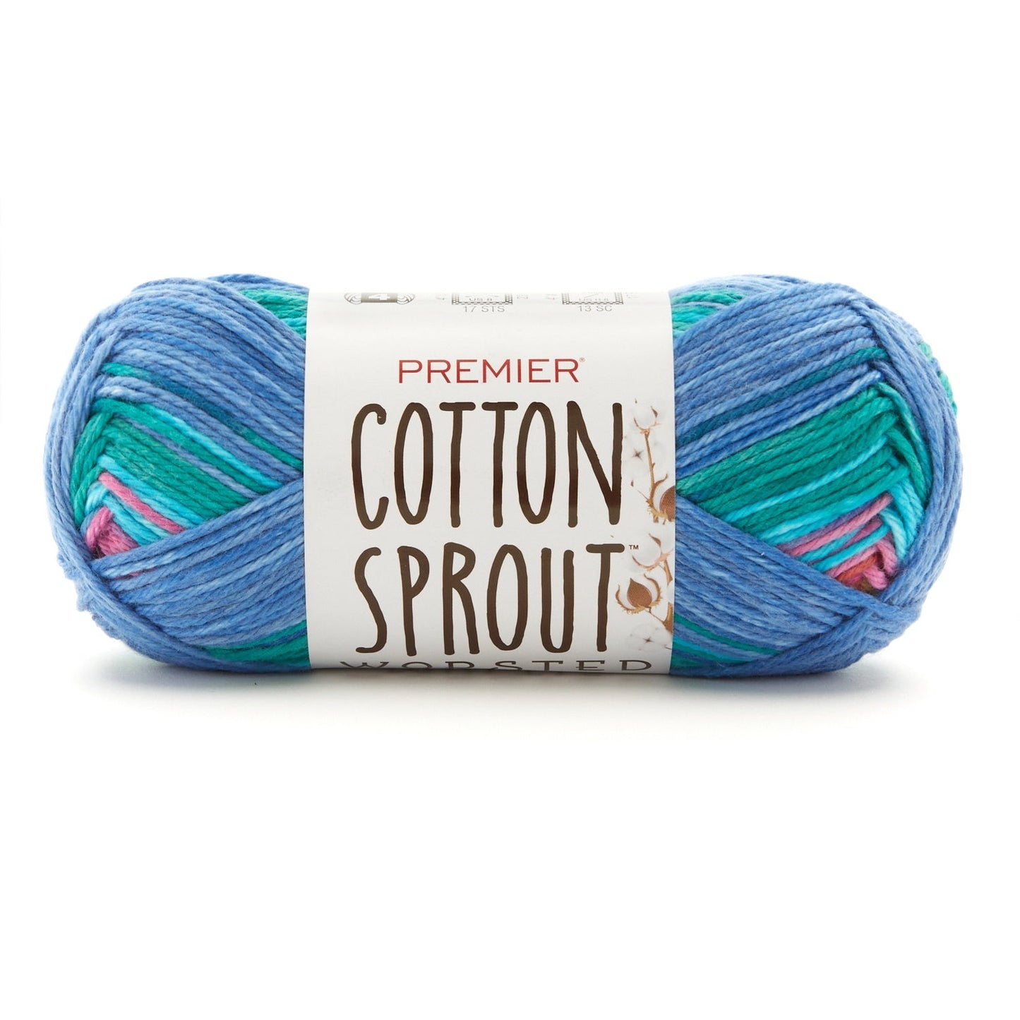 Premier cotton sprout worsted multi yarn - 5