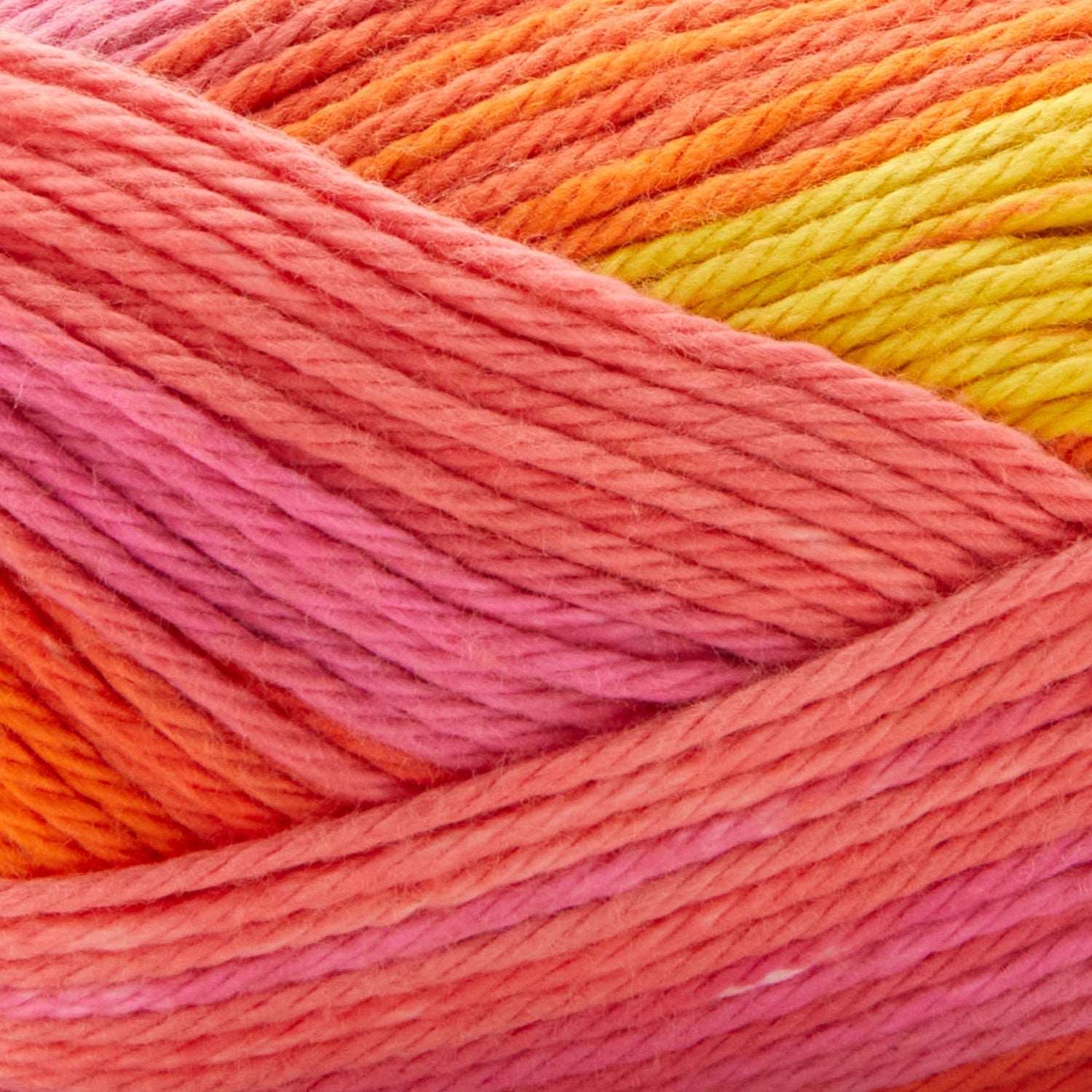 Premier cotton sprout worsted multi yarn - 16